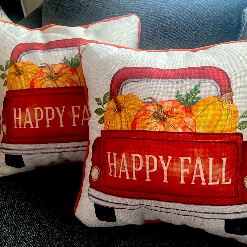 2 fall throw pillows